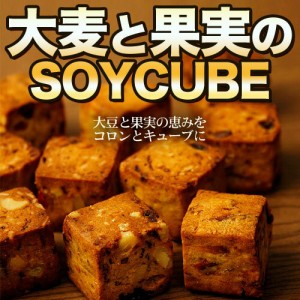 ダイエット食品 満腹 置き換え お菓子 スイーツ 大麦と果実のソイキューブ 大容量 大豆 ドライフルーツ 食物繊維 ロカボ