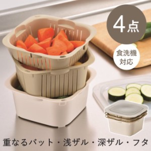 角型 ザル 付き バット 料理 網付き 蓋 電子レンジ 食洗機 ボウル ザル セット トレー ざる フタ付き 保存容器 プラスチック 容器 ボウル