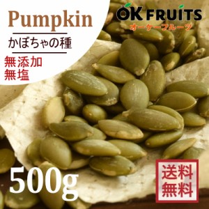 素焼きロースト（無塩・オイル不使用）厳選の無添加 かぼちゃの種500g。【プレミアム・かぼちゃの種500g】