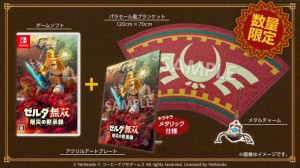 ゼルダ無双 厄災の黙示録 TREASURE BOX  Switch【中古】