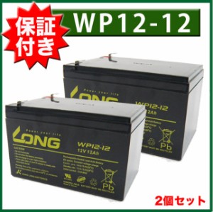 保証書付き 2個セット UPS・溶接機 各種（12V12Ah）WP12-12 バッテリー 溶接機 ナノアーク Z6000-BT12  NPH12-12