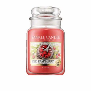 ヤンキー キャンドル レッド ラズベリー ジャーＬ ハウスウォーマー YANKEE CANDLE RED RASPBERRY HOUSEWARMER