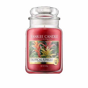 ヤンキー キャンドル トロピカル ジャングル ジャーＬ ハウスウォーマー YANKEE CANDLE TROPICAL JUNGLE HOUSEWARMER