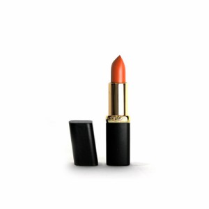 ロレアル パリ カラー リッシュ マット リップスティック ハイプ ( 227 HYPE ) 3,7g L'OREAL PARIS COLOUR RICHE MATTE LIPSTICK