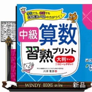 中級算数習熟プリント小学５年生　大判サイズ    