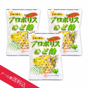 プロポリス入りのど飴 プロポリスキャンディー 100g×3個セット プロポリスキャンディー プロポリスのど飴