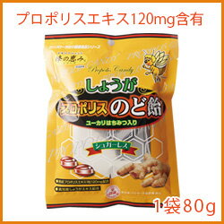しょうがプロポリスのど飴 プロポリスキャンディー 80g