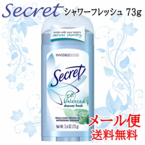 シークレット デオドラント 73g シャワーフレッシュ ワキガ 汗 臭い 脇汗対策 ワキガ対策 secret 海外 脇汗臭い secret 制汗剤 ワキガ デ