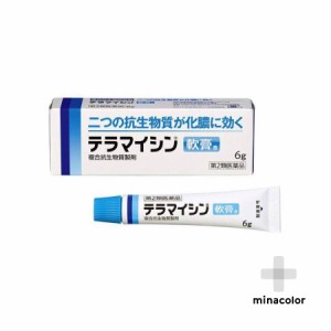 【第2類医薬品】テラマイシン軟膏a 6g 医療用のテラマイシン軟膏と同成分配合 化膿止め 送料無料