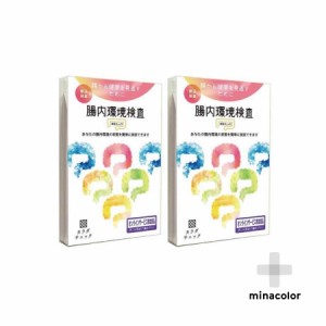 尿でわかる腸内環境検査「腸活チェック」 腸内環境が気になる方に ×2個セット 腸内フローラ 腸内環境 腸活 菌活 送料無料