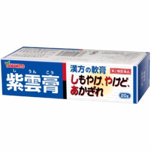 【第2類医薬品】紫雲膏ダイコー 20g 湿疹 魚の目 あかぎれ