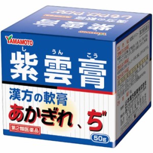 【第2類医薬品】紫雲膏 50g あかぎれ やけど 湿疹に