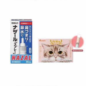 点鼻薬・風邪薬セット 改源錠(指定第2類医薬品) ナザールスプレー点鼻薬 (第2類医薬品)