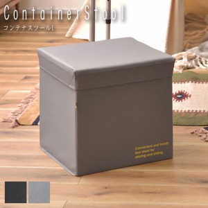 ContainerStool コンテナスツールL　(椅子 イス 腰掛け ボックス キャビネット サイドテーブル マルチ 収納 小物 雑貨 衣類 フタ ポリエ