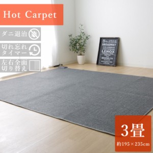 Hot Carpet 電気カーペット 195×235cm　(3畳 マット 敷物 長方形 暖房器具 冬 寒さ対策 リビング シンプル グレー 灰 縦195cm D195 横23