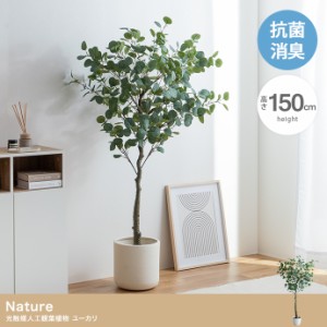 Nature 光触媒人工観葉植物 ユーカリ 高さ150cm