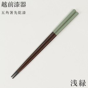 五角箸 先乾漆 浅緑 23cm ( お箸 プレゼント はし 高級箸 塗り箸 越前漆器 結婚 出産 内祝い 引き出物 金婚式 )