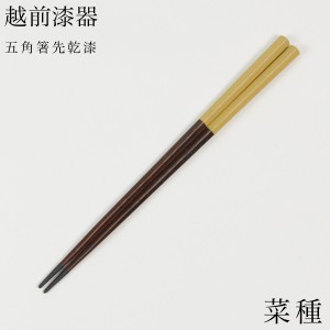 五角箸 先乾漆 菜種 23cm ( お箸 プレゼント はし 高級箸 塗り箸 越前漆器 結婚 出産 内祝い 引き出物 金婚式 )