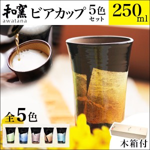 「送料無料」 九谷焼 ビアカップ awatana 銀彩 専用木箱付き 250ml 5色セット 「即日発送対応」 ( 和窯 awatana )