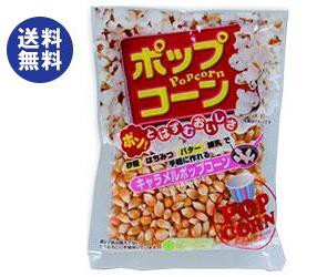 サンコク 豆印 ポップコーン 150g×10袋入×(2ケース)｜ 送料無料