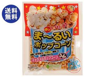 サンコク ま〜るいポップコーン 100g×10袋入｜ 送料無料