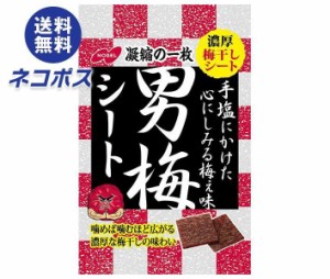 【全国送料無料】【ネコポス】ノーベル製菓 男梅シート 27g×6袋入