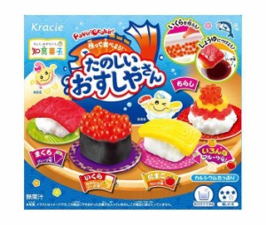 クラシエフーズ ポッピンクッキン たのしいおすしやさん 29g×5箱入×(2ケース)｜ 送料無料