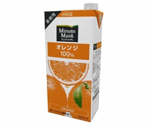 コカコーラ ミニッツメイド オレンジ100% 1L紙パック×6本入×(2ケース)｜ 送料無料