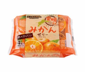 和歌山産業 蔵王高原農園 愛媛県産みかんゼリー 68g×4×12袋入｜ 送料無料