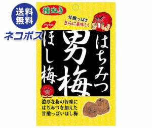 【全国送料無料】【ネコポス】ノーベル製菓 はちみつ男梅ほし梅 20g×6袋入