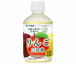 伊藤園 ニッポンエール 長野県産りんご三兄弟 280gペットボトル×24本入｜ 送料無料