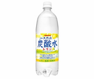 サンガリア 伊賀の天然水 炭酸水 レモン 1Lペットボトル×12本入｜ 送料無料