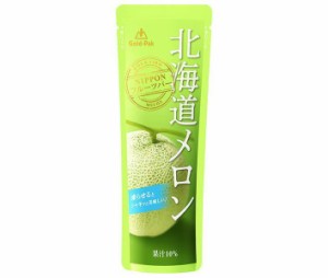 ゴールドパック 北海道 メロン 80gパウチ×20本入×(2ケース)｜ 送料無料