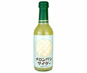 木村飲料 メロンパンサイダー 240ml瓶×20本入×(2ケース)｜ 送料無料
