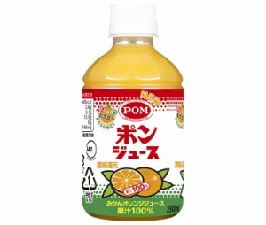 えひめ飲料 ポンジュース 280mlペットボトル×24本入×(2ケース)｜ 送料無料