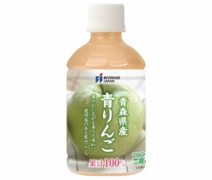 ビバレ・ジャパン 青森産 青りんご100% 280mlペットボトル×24本入×(2ケース)｜ 送料無料