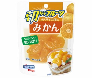 はごろもフーズ 朝からフルーツ みかん 95gパウチ×6袋入｜ 送料無料