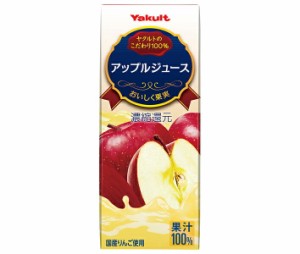 ヤクルト アップルジュース 200ml紙パック×24本入×(2ケース)｜ 送料無料