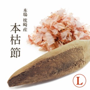 鰹節 本枯節 本節 本場 枕崎産 背節 腹節 Lサイズ 【再入荷】かつお節の本場枕崎直送の本節をご家庭で！本鰹節【家庭用】【無添加】かつ