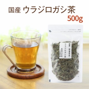 ウラジロガシ茶 国産 100ｇ×5セット 徳島県産１００％で安心・安全☆ 美味しいウラジロガシ茶 【国産 健康茶】【無添加・無着色】 【送