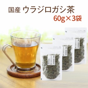 ウラジロガシ茶 純国産 60g×3袋  徳島県産１００％で安心・安全☆ 【国産 健康茶】【ウラジロガシ茶 うらじろがし茶】【無添加・無着色