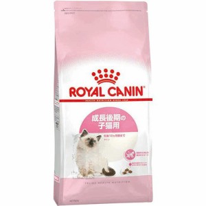 ロイヤルカナン FHN キトン 子猫用 2kg