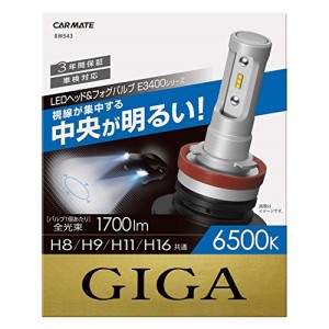 カーメイト 車用 LED ヘッドライト フォグランプ GIGA E3400シリーズ H8/H9/H11/H16共通 6500K 1700lm/1灯 車