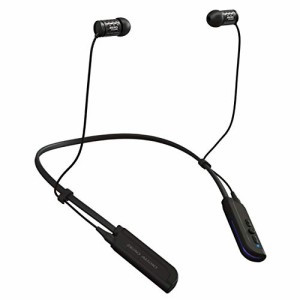 ZERO AUDIO ワイヤレスステレオヘッドセット CARBO BASSO WIRELESS ZH-DX210-BT