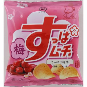 湖池屋 すっぱムーチョチップスさっぱり梅味 55g 