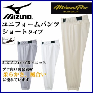 MIZUNO (ミズノ)  野球・ソフト ウェア 練習着・ユニフォーム 12JD4F03 パンツ・ショートタイプ ミズノプロ