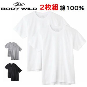 2枚組 半袖 丸首 Ｔシャツ ボディワイルド 無地 カラー 紳士 メンズ 綿100％ 抗菌防臭加工 グンゼ おすすめ BW5013