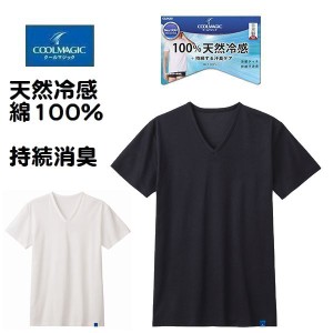 グンゼ 半袖 V首 Ｔシャツ インナー 下着 綿100％ 接触冷感 消臭加工 紳士 メンズ 肌着 春夏素材 クールマジック MCA515