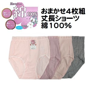 4枚組 ショーツ 綿100％ パンツ お腹すっぽり 針抜き編み 深め丈 丈長 ゆったり ショーツ レディース 婦人 無地