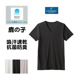 鹿の子 V首 半袖 シャツ Tシャツ 肌着 アセドロン Vネック MCA715 インナー 下着 吸汗速乾 抗菌防臭 紳士 メンズ グンゼ クールマジック